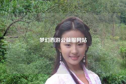 梦幻西游公益服网站