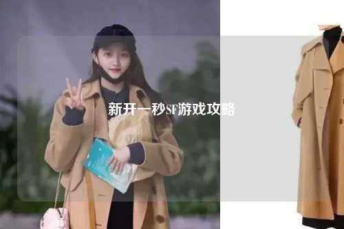 新开一秒SF游戏攻略